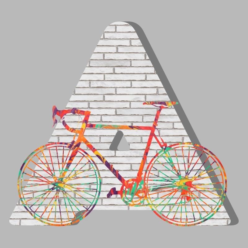 fahrrad e 249 a