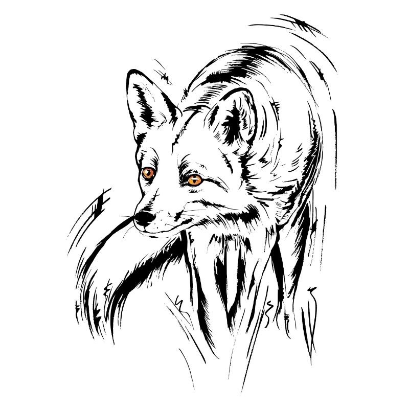 fox, red fox