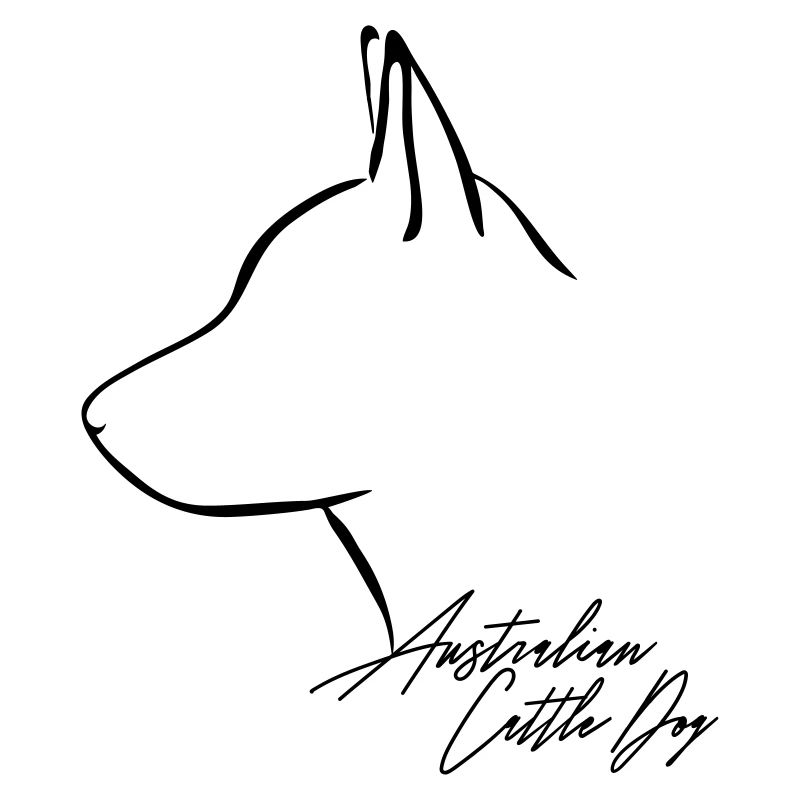 AUSTRALIAN CATTLE DOG Profil Wilsigns