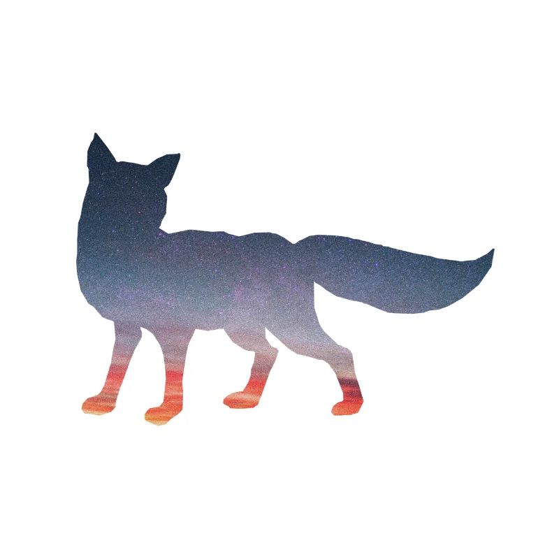 Space Fox