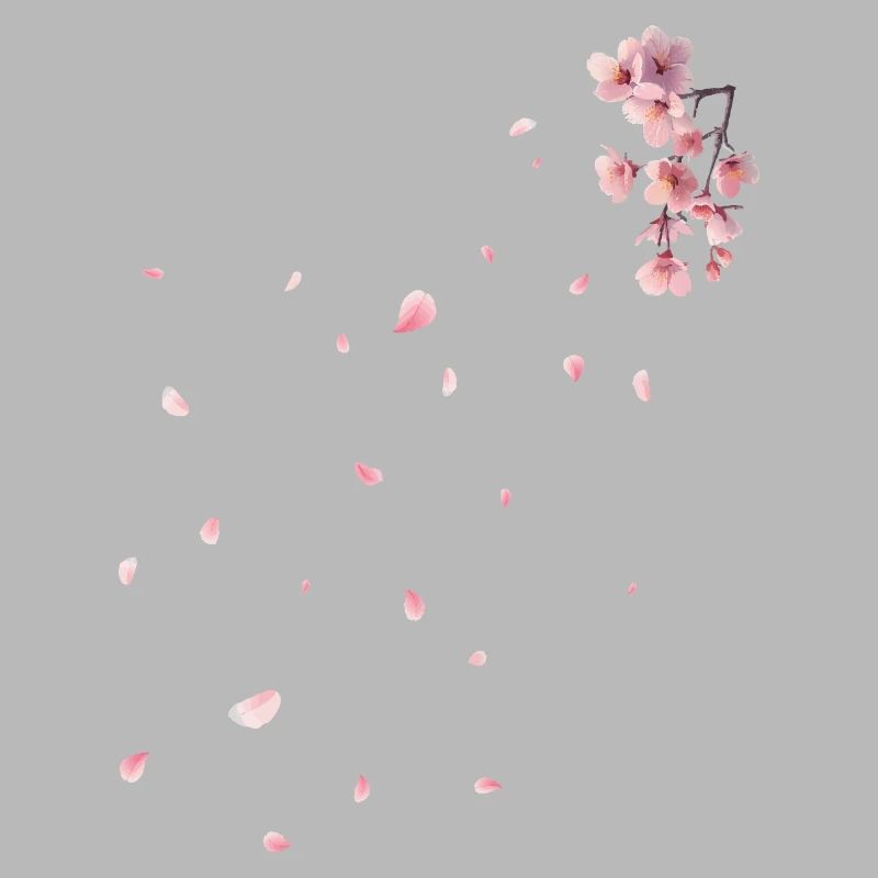 Sakura - Cherry Blossoms