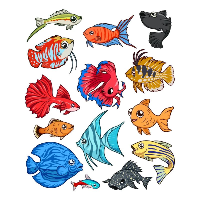 Various ornamental fish - aquaristics