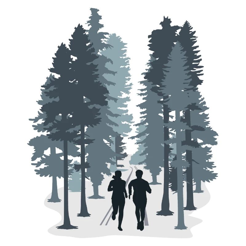Courir, trail en forêt