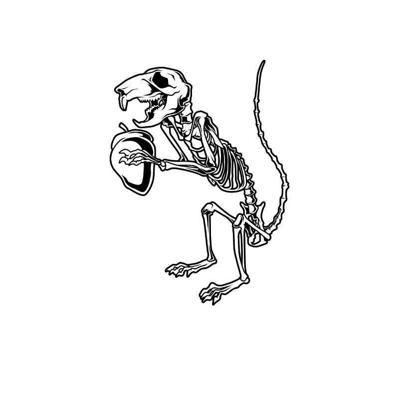 Squirrel Skeleton - Aestethic Goblincore