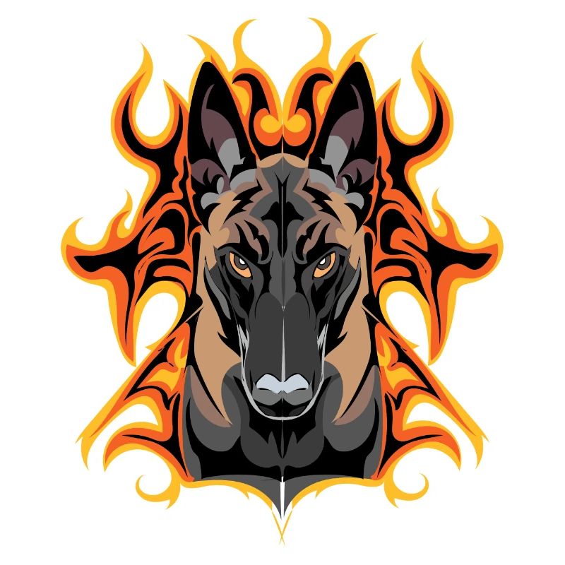 flash malinois