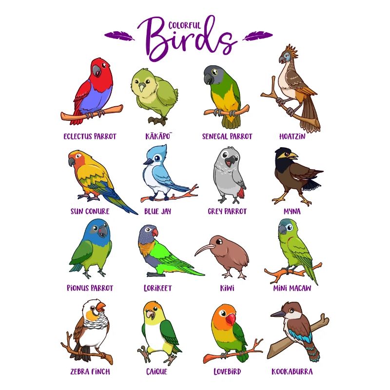 Différents oiseaux de dessin animé