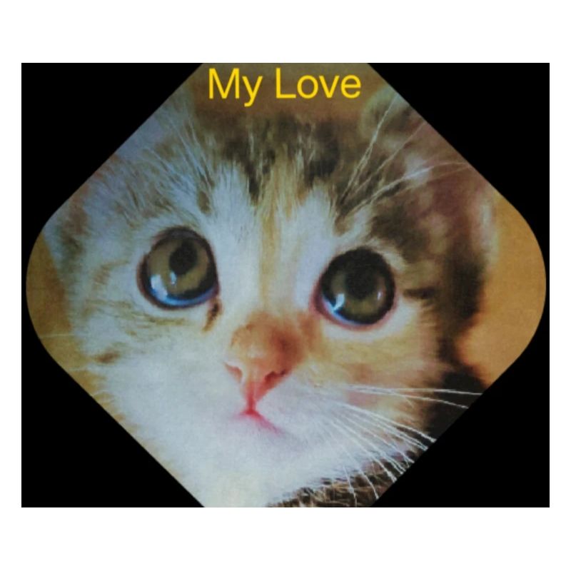 My Design