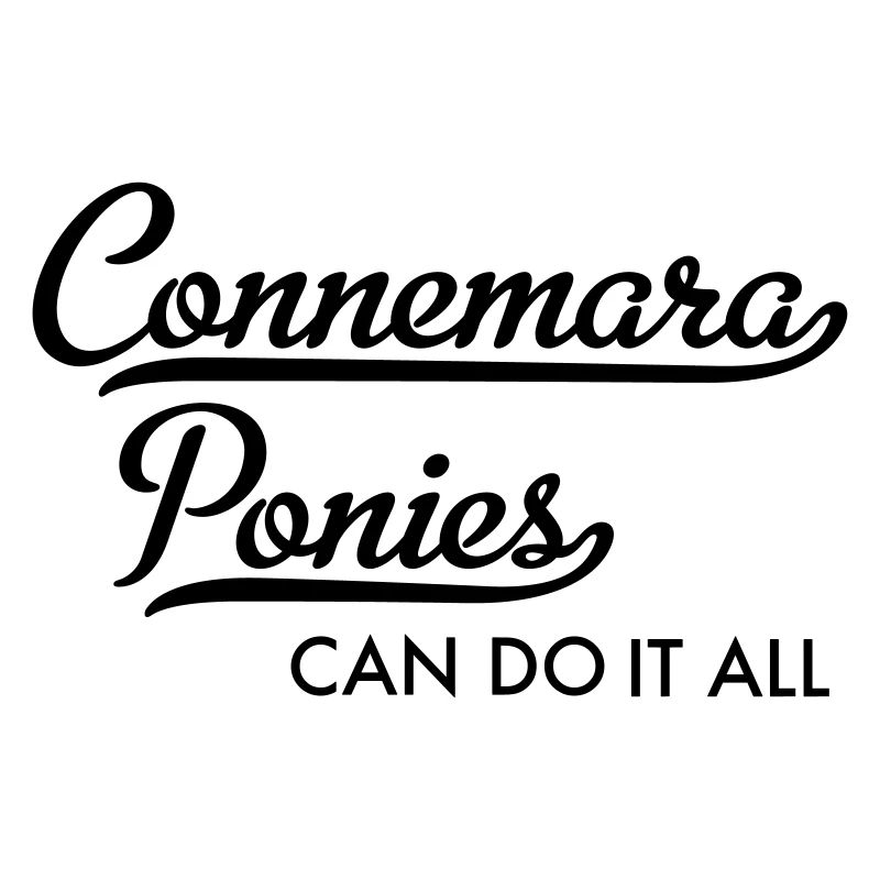 Connemara Pony