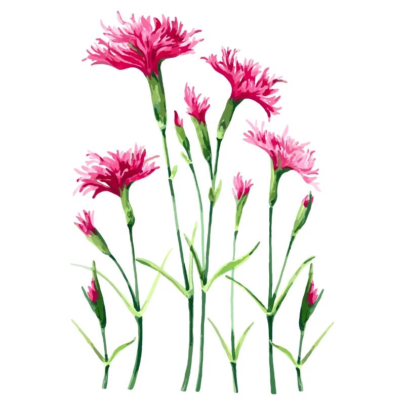 Blumen