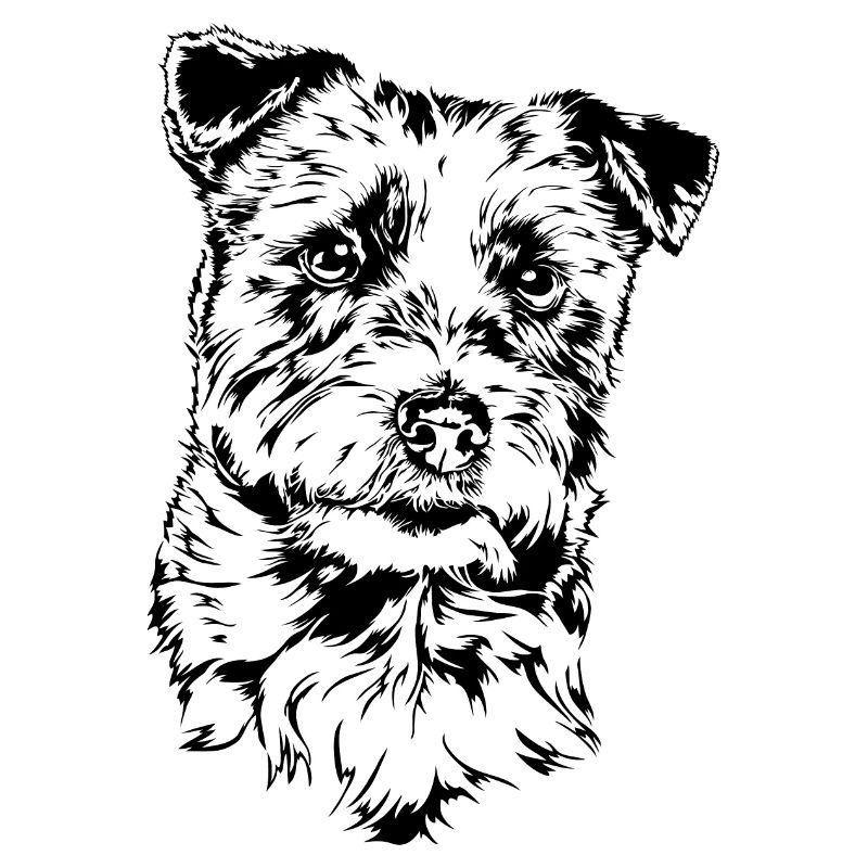 JACK RUSSELL TERRIER Rauhaar Hunde Hund Wilsigns