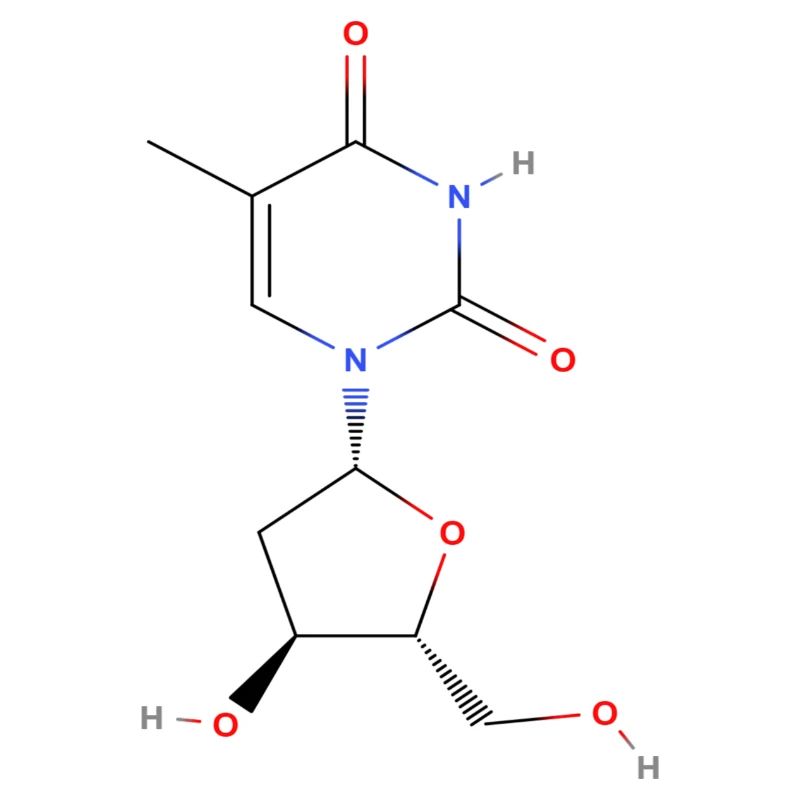 Molécule de thymidine - Formule structurale colorée