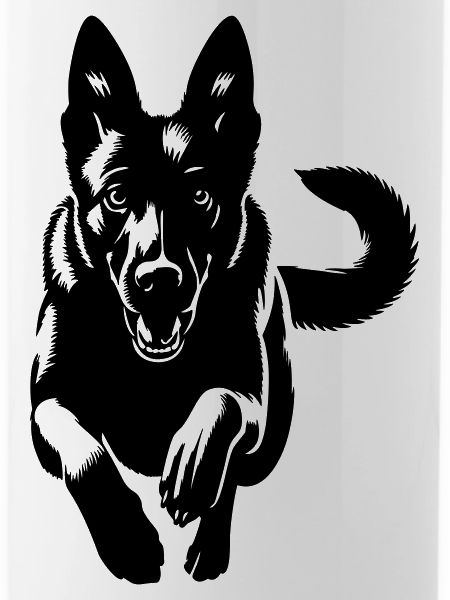 Malinois