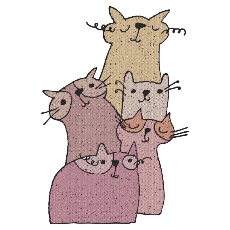 À la rencontre de Cats 2