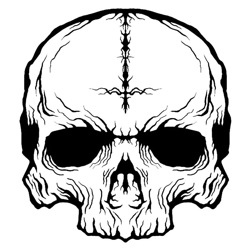 Skull