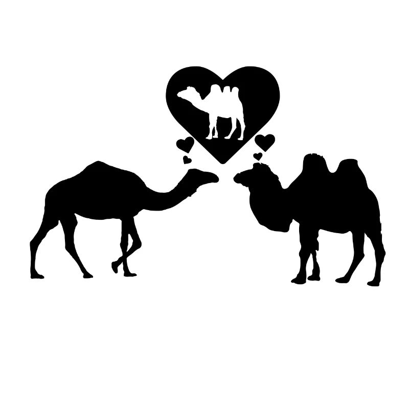 Dromedar liebt Kamel