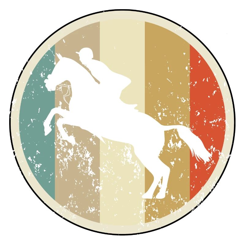 Springreiten Springreiter Springreiterin