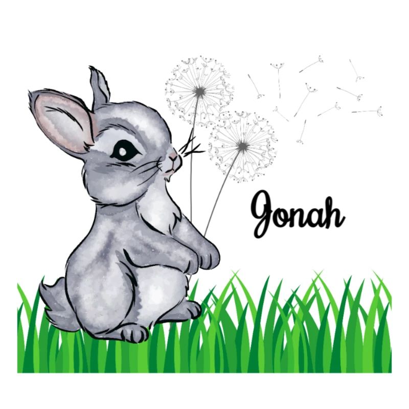 Rabbit Name Gift Jonah