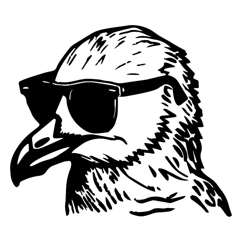 Möwe