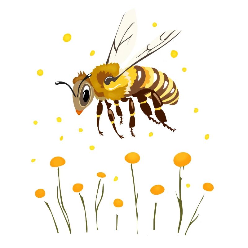 petite abeille
