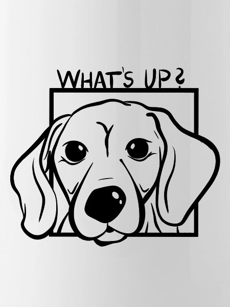 WhatsUp