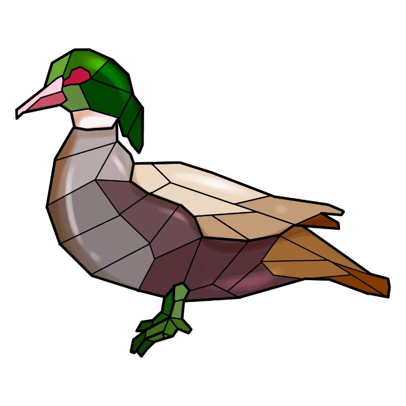 Duck Geometric Bird