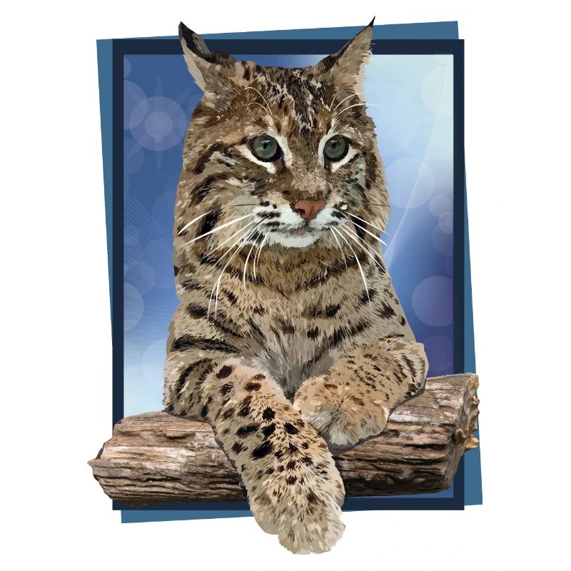 Luchs