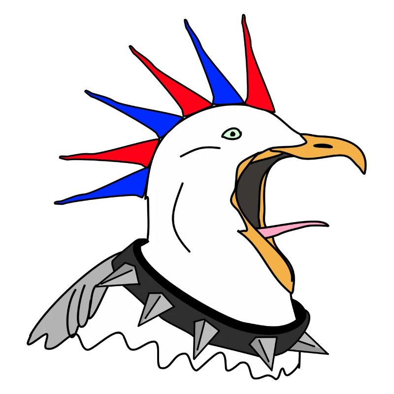 punker möwe