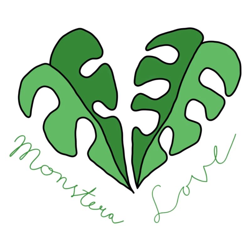 Monstera Amour