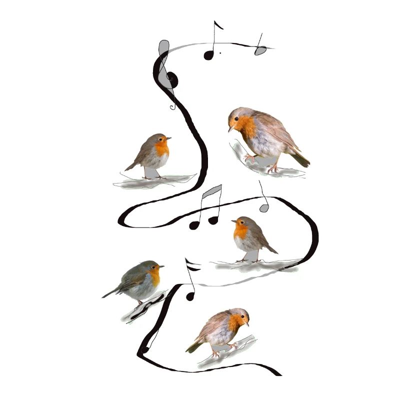 Robin, musica, melodia