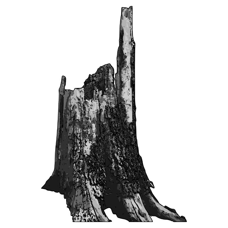 Arbre