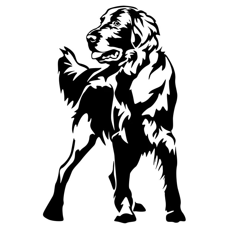 Flat-coated retriever
