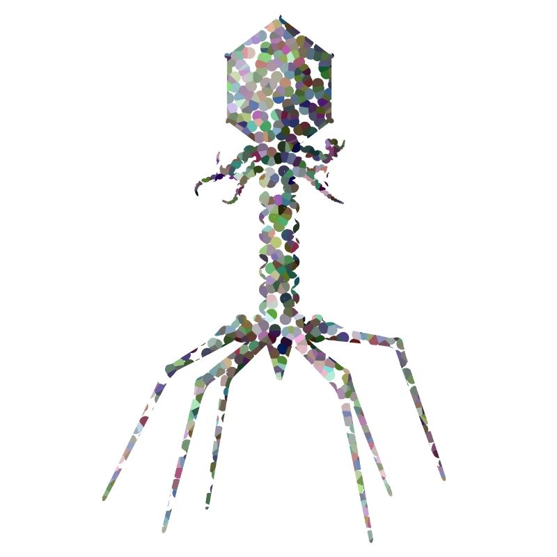 Phage