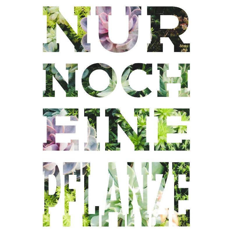 GARTEN ZIMMERPLANZE NUR NOCH EINE PFLANZE