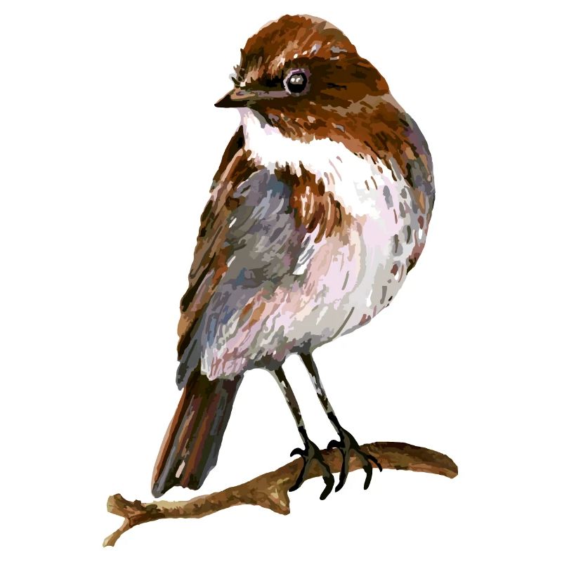 Vogel