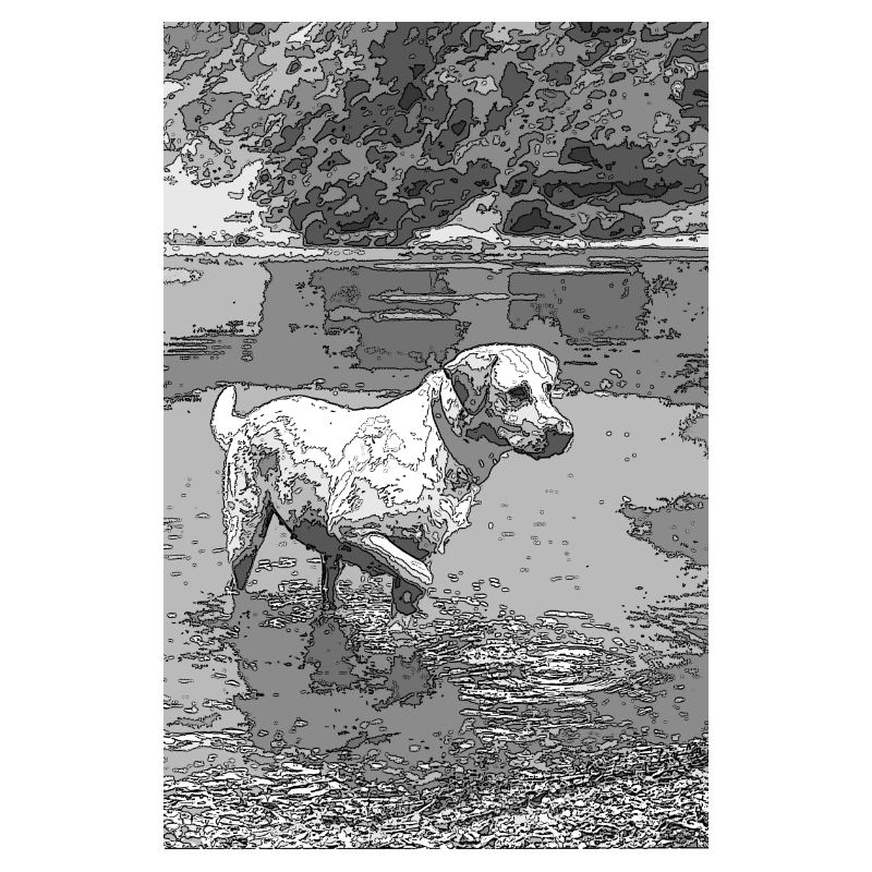 Labrador im Wasser