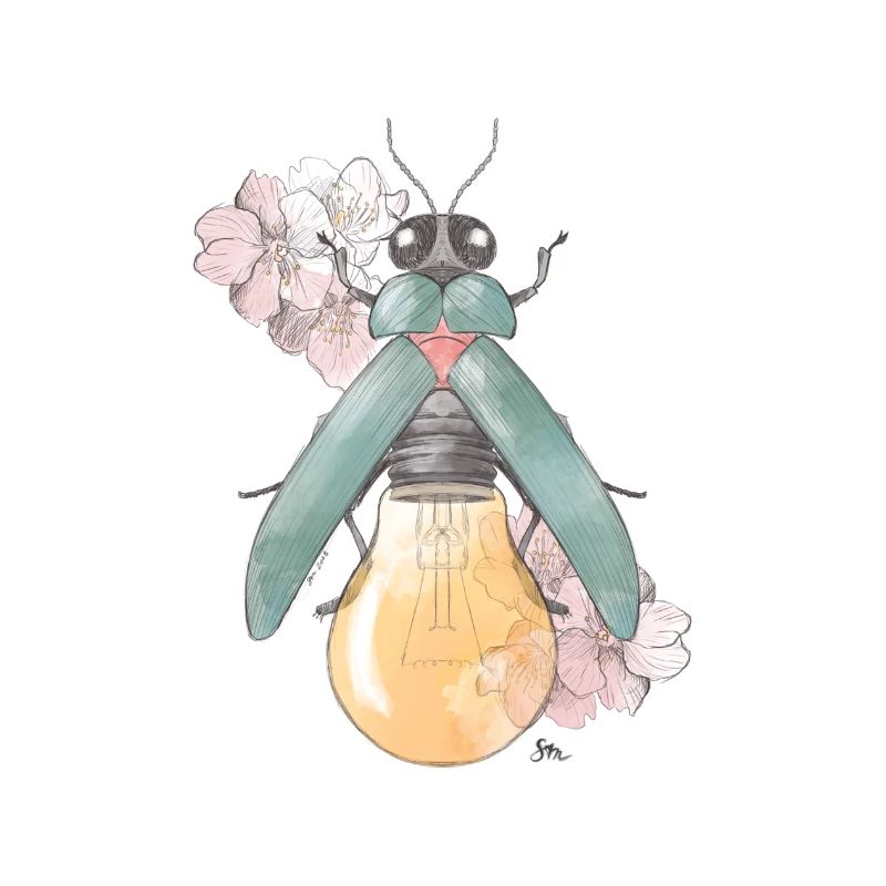 Pear | Flowering | Beetles