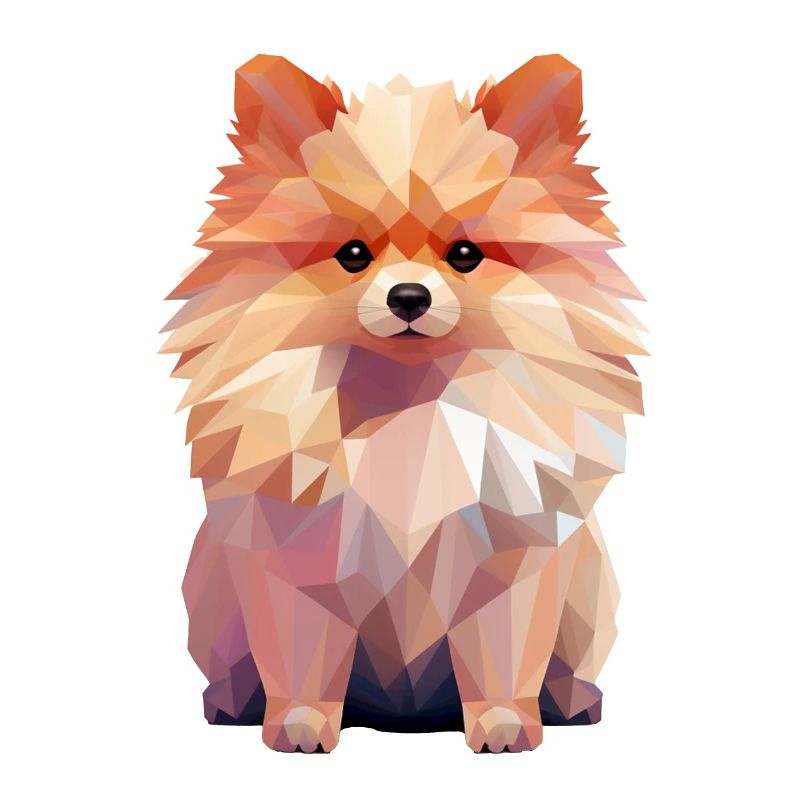 Miniature Spitz Geometric Drawing