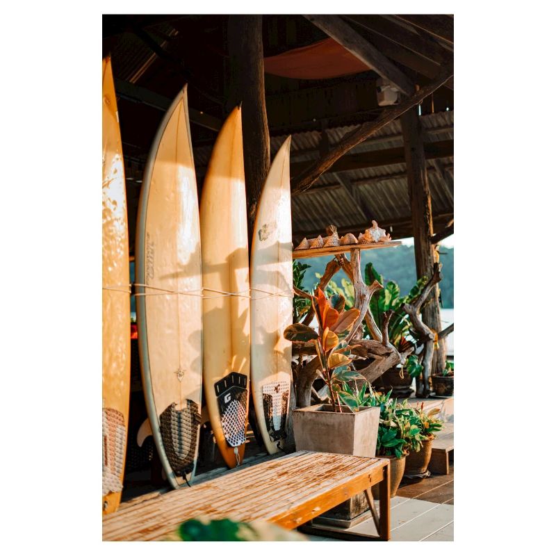 Surfer