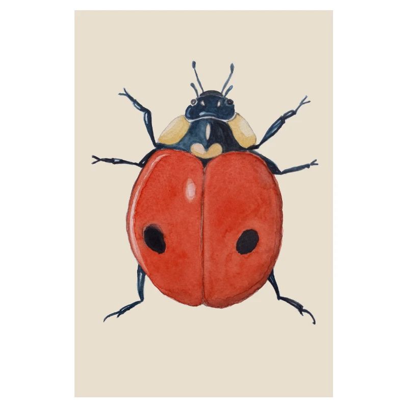 Affiche Ladybug 2