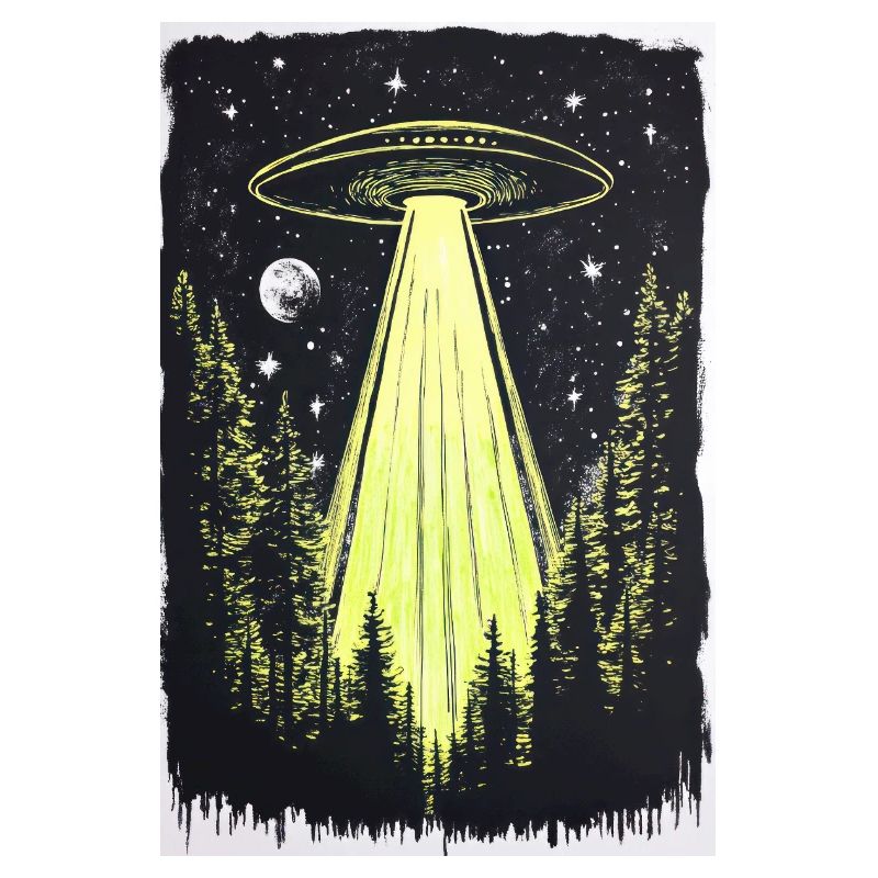 UFO in den Mitternachtskiefern