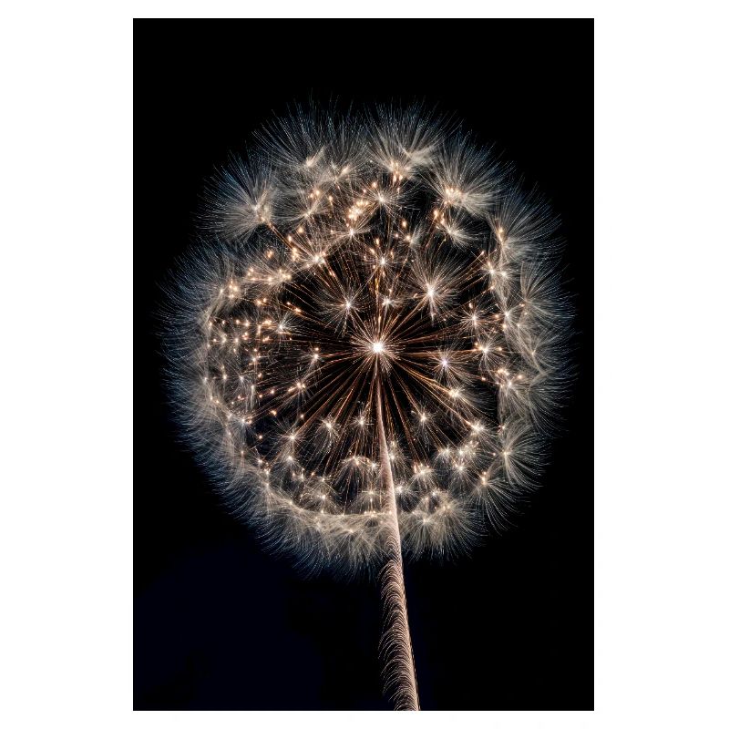 Luminous Dandelion Firework