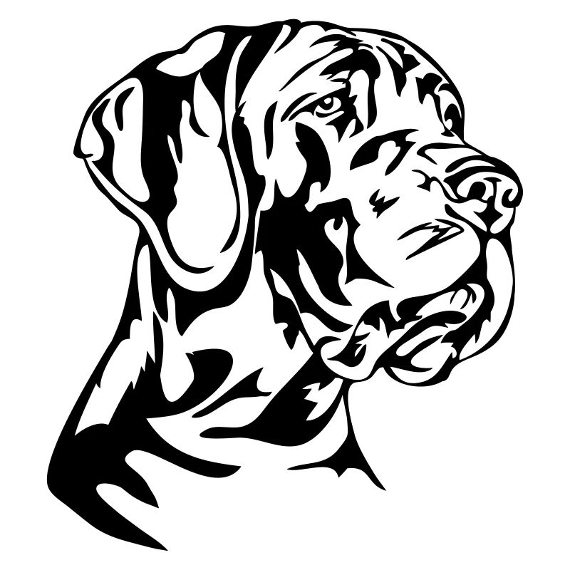 Great Dane Wilsigns Hundeportrait canine dog