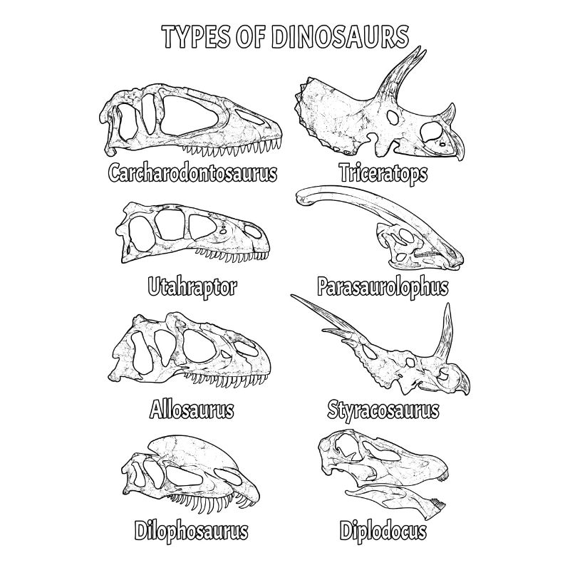 Dinosaur Fossils