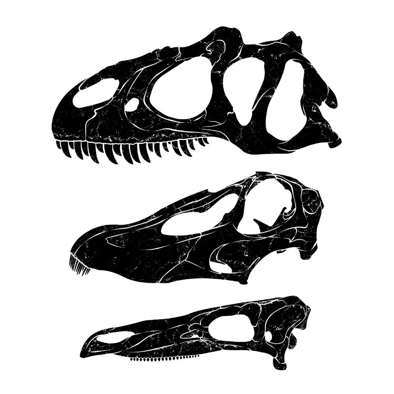 Allosaurus diplodocus stégosaure