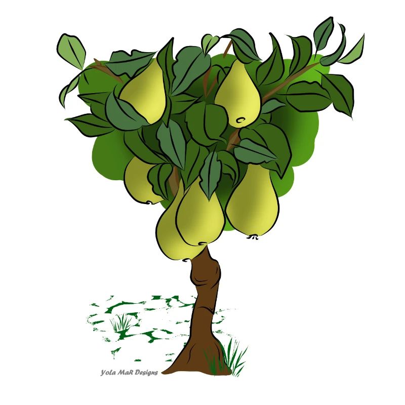Pear Tree