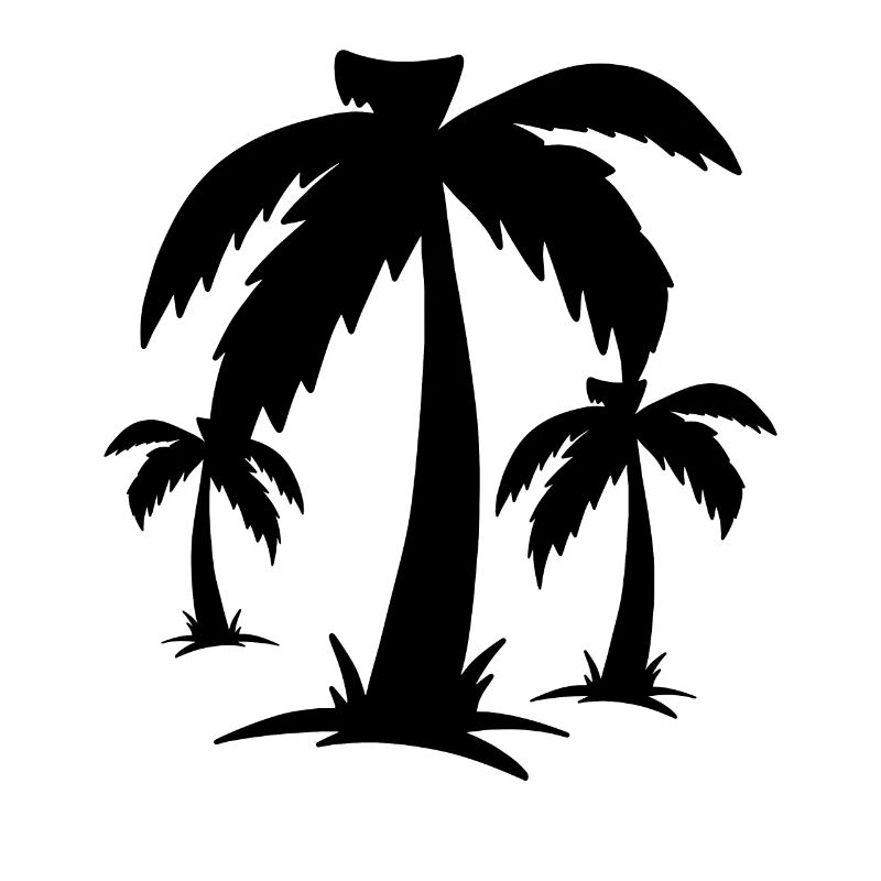 Palmen Palms