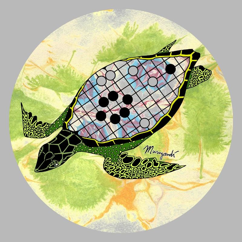 The Turtle Shell