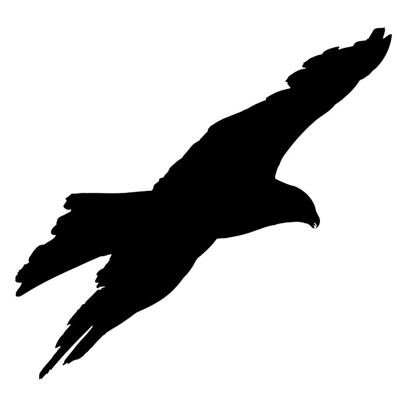 gliding eagle