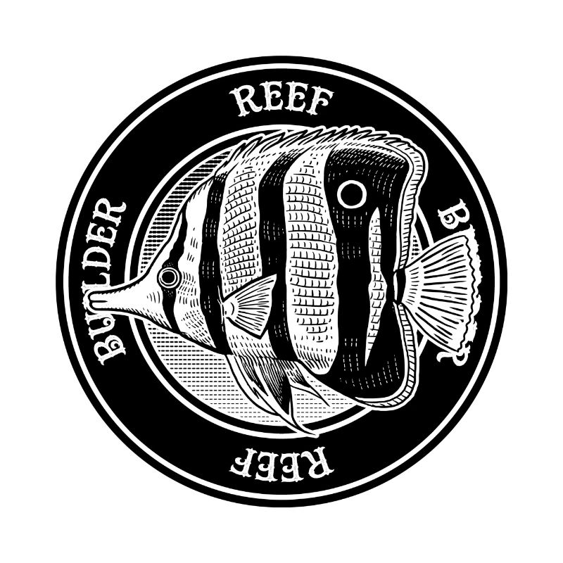 Butterfly Fish Reef Builder Marine Aquarium Fish
