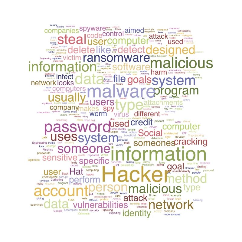 Cybersécurité Programmation informatique